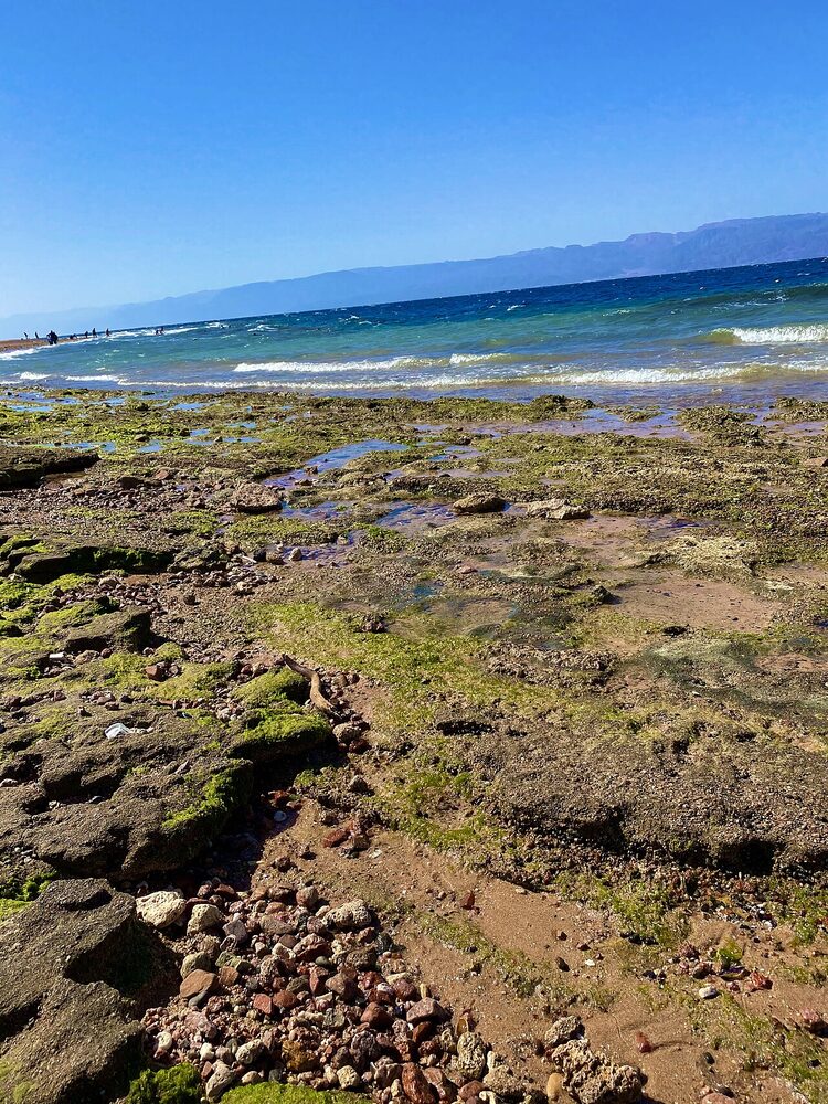 The Red Sea coastline and coral reefs near Aqaba, Jordan